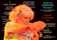 FLAMENCO ! Academia de baïle flamenco : stages. Le samedi 23 novembre 2013 à MONTIGNY-lès-METZ. Moselle.  14H00